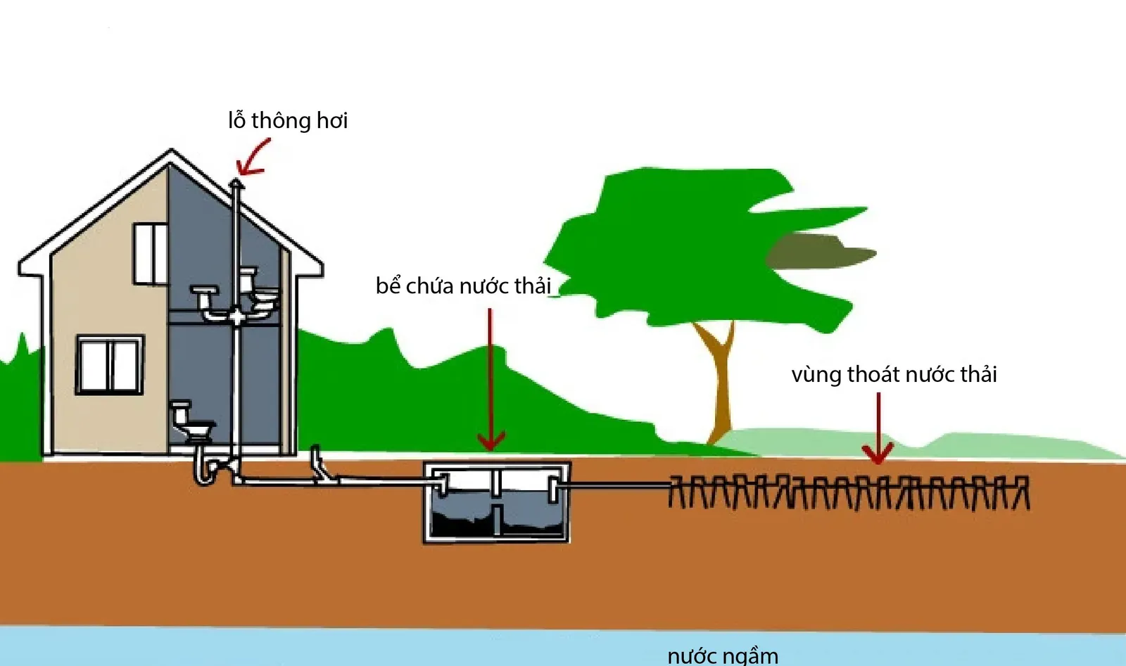 Thiết kế hệ thống thoát nước mưa