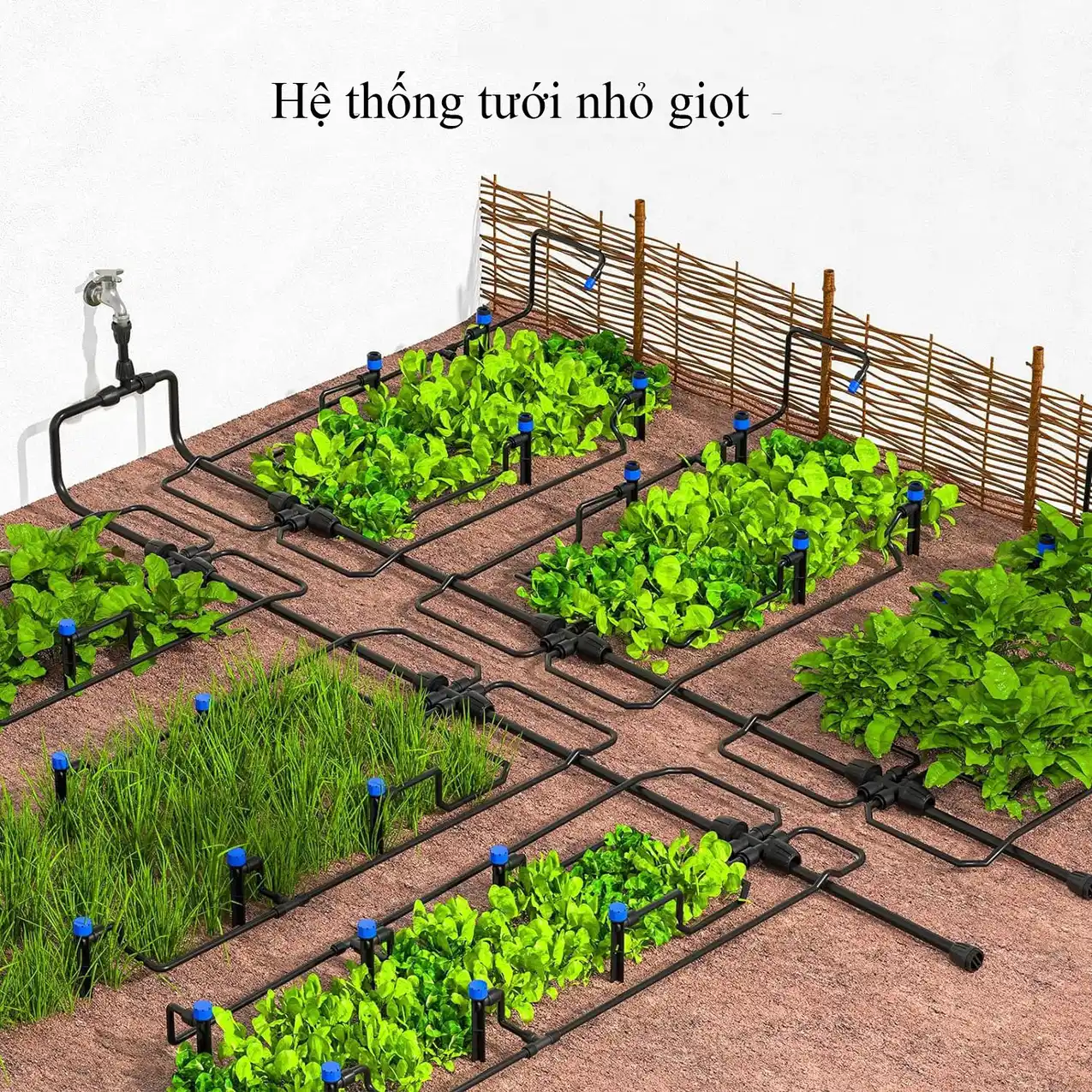 Hệ thống tưới nhỏ giọt là gì