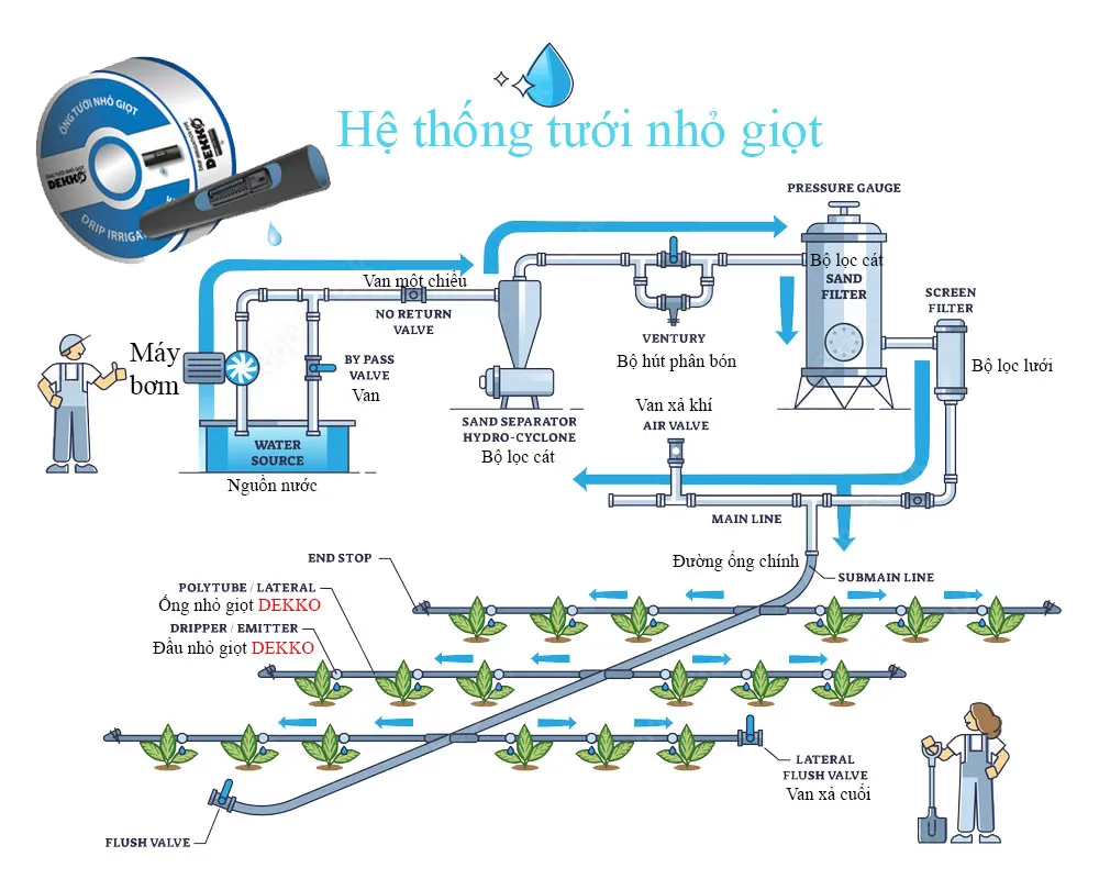 Hệ thống tưới nhỏ giọt là gì