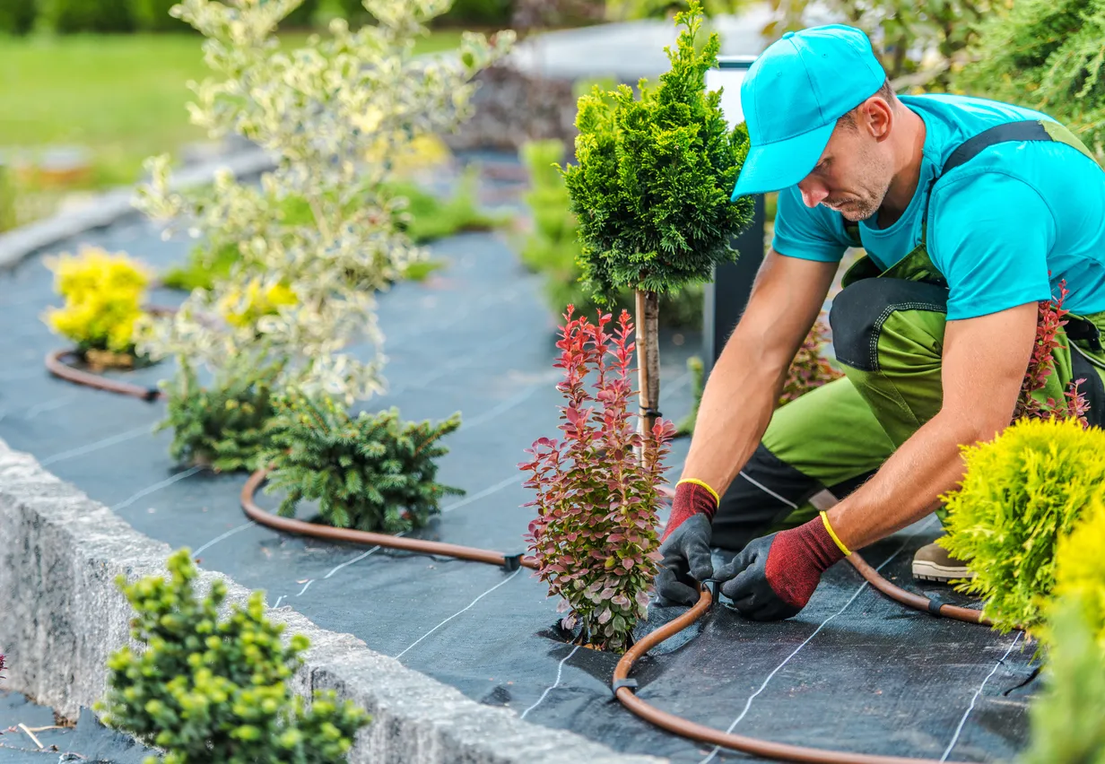 Hệ thống tưới nhỏ giọt bị tắc nghẽn