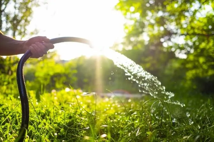 Ống dẫn nước tưới cây: Kinh nghiệm chọn và lắp đặt hiệu quả