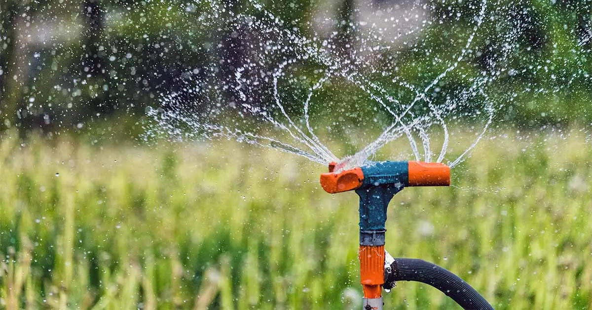 Ống dẫn nước tưới cây: Kinh nghiệm chọn và lắp đặt hiệu quả
