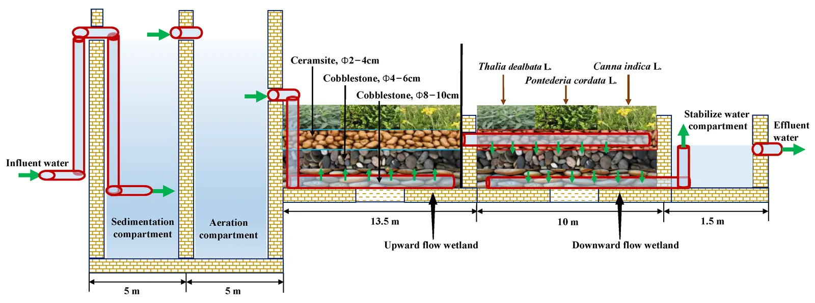 Hệ thống thoát nước ao cá