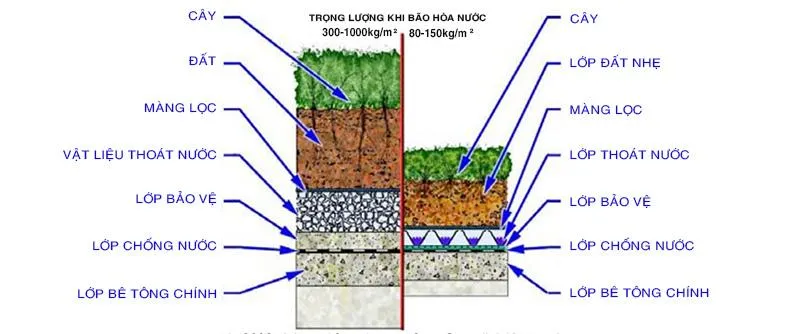 Trồng cây trên mái nhà 