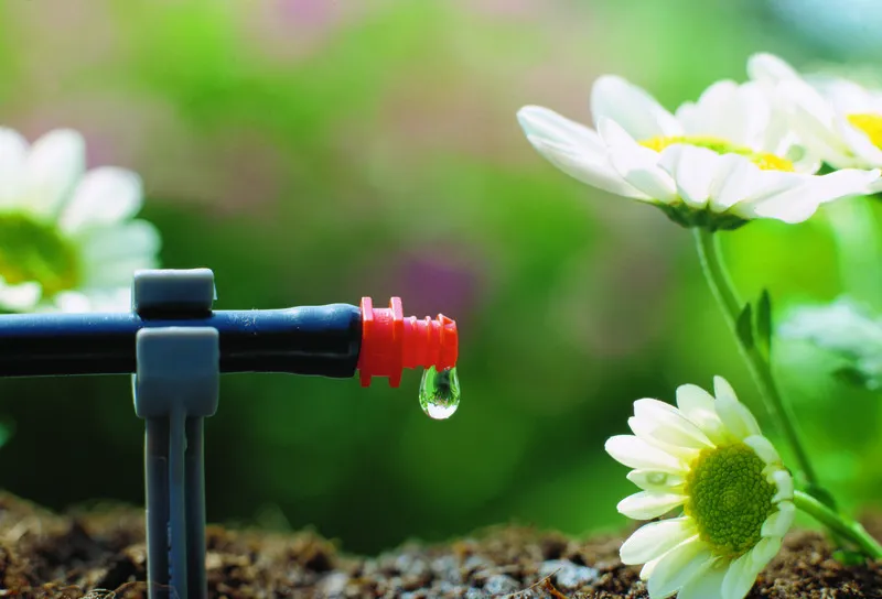 Lắp đặt béc tưới là giai đoạn lắp đặt cuối cùng (Nguồn: Sưu tầm)