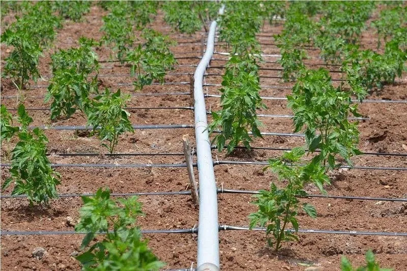 các loại ống nhựa pvc