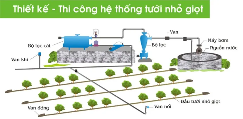 Mô hình tưới nhỏ giột cần trang bị bộ lọc để tránh tình trạng tắc nghẽn (Nguồn: sưu tầm)