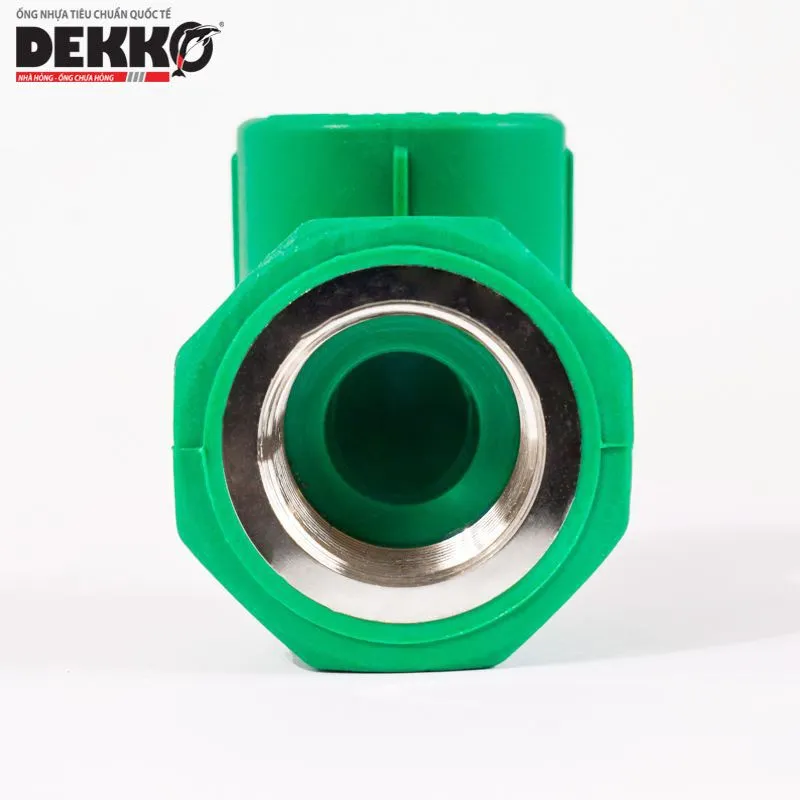 db1bcd043a3a-cut-ren-trong-ppr-4-1752829006.webp